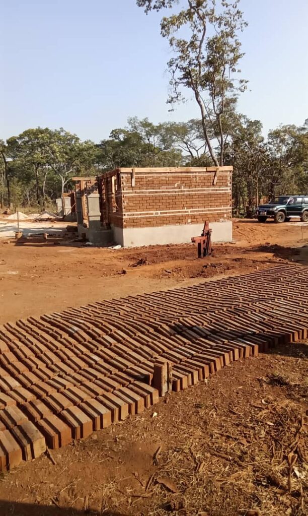 photograph of newly manufactured bricks lined up to dry
